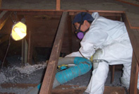 crew installing cellulose attic insulation in El Cerrito